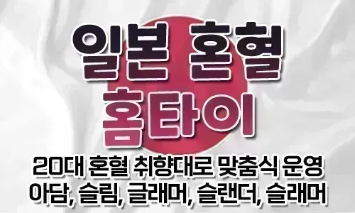 일본혼혈홈타이