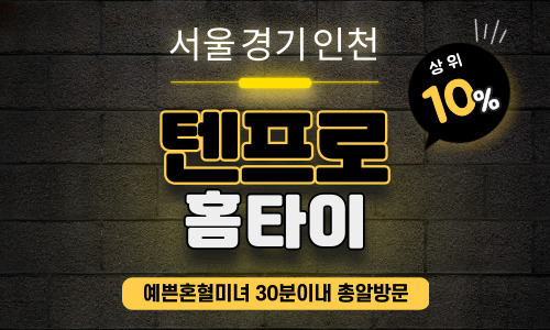 텐프로홈타이